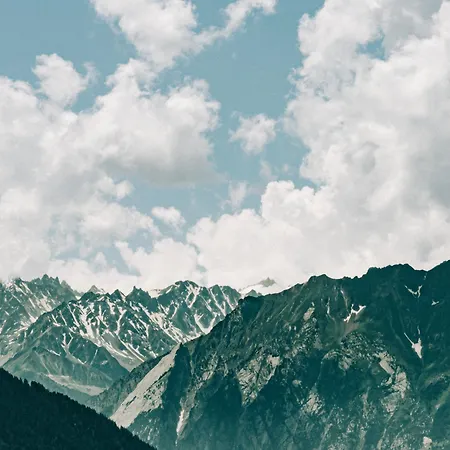 Experimental 베르비에