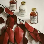 Experimental 베르비에